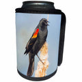 3dRose Danita Delimont - Songbirds - USA. Washington. Adult male Red winged Blackbird sings from a cattail. - Can Cooler Bottle Wrap (cc_279656)