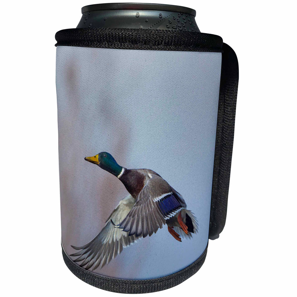 3dRose Danita Delimont - Ducks - USA. Washington State. Male Mallard, Anas Platyrhynchos, in flight. - Can Cooler Bottle Wrap (cc_279664)