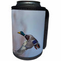 3dRose Danita Delimont - Ducks - USA. Washington State. Male Mallard, Anas Platyrhynchos, in flight. - Can Cooler Bottle Wrap (cc_279664)