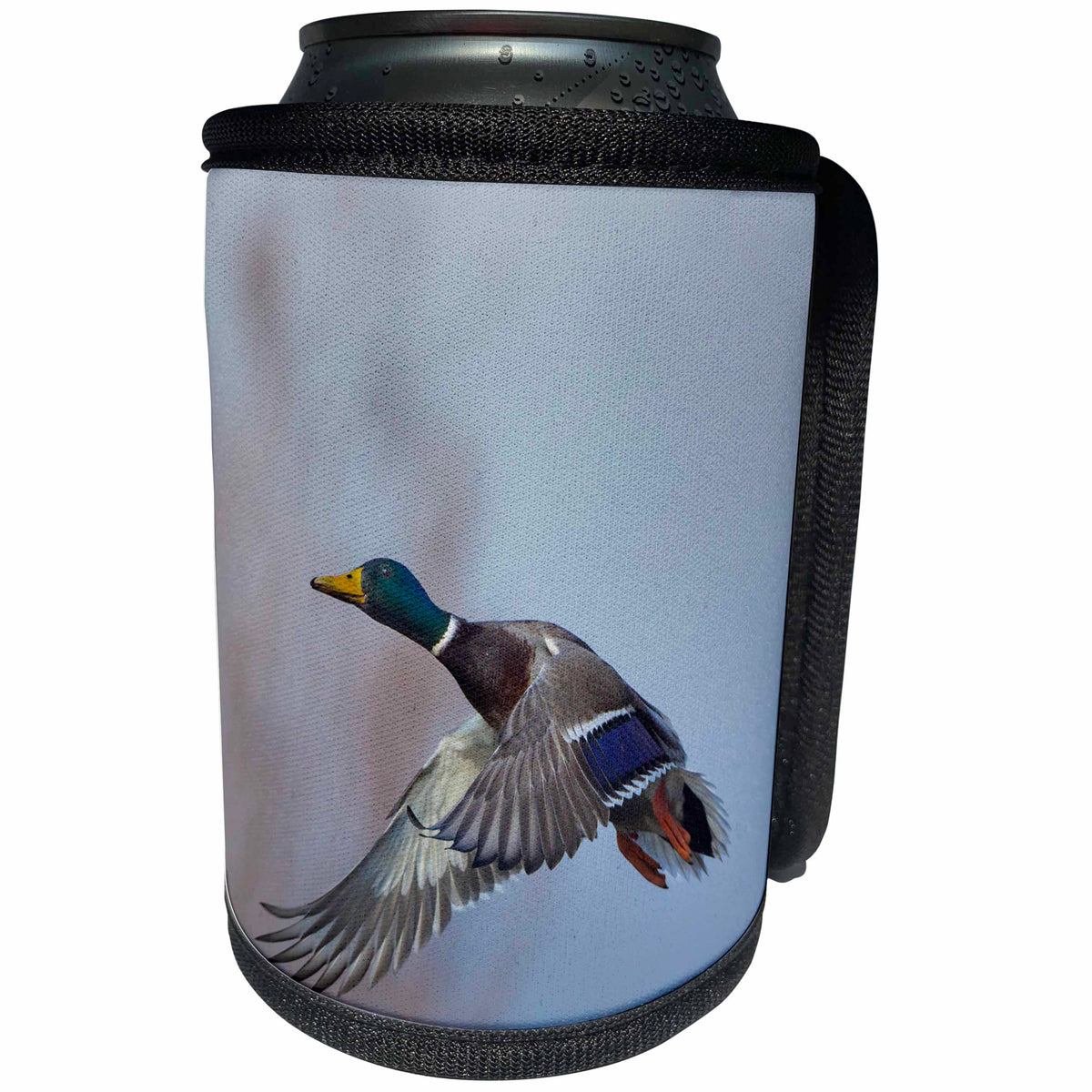 3dRose Danita Delimont - Ducks - USA. Washington State. Male Mallard, Anas Platyrhynchos, in flight. - Can Cooler Bottle Wrap (cc_279664)