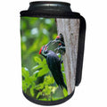 3dRose Danita Delimont - Birds - Washington. Male Pileated Woodpecker feeds chicks at nest hole - Can Cooler Bottle Wrap (cc_279665)