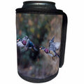 3dRose Danita Delimont - Ducks - Washington. Adult male Wood Duck flying over a marsh. - Can Cooler Bottle Wrap (cc_279672)