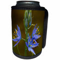3dRose Danita Delimont - Flowers - Washington. Common Camas native wildflower blooming in the spring. - Can Cooler Bottle Wrap (cc_279681)
