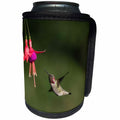 3dRose Danita Delimont - Hummingbirds - Washington. Male Annas Hummingbird hovers at a fuchsia flower - Can Cooler Bottle Wrap (cc_279696)