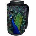 3dRose Danita Delimont - Birds - USA, Washington State, Olympic Peninsula, Male Peacock - Can Cooler Bottle Wrap (cc_279712)