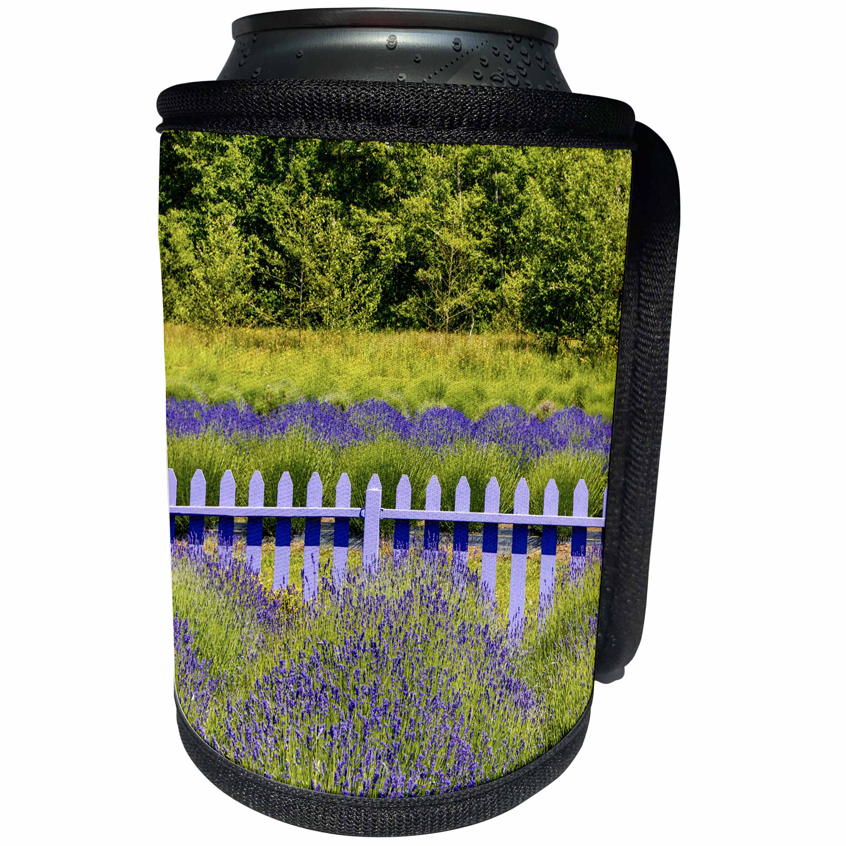 3dRose Danita Delimont - Flowers - USA, Washington State, Squim, Lavender Field - Can Cooler Bottle Wrap (cc_279713)