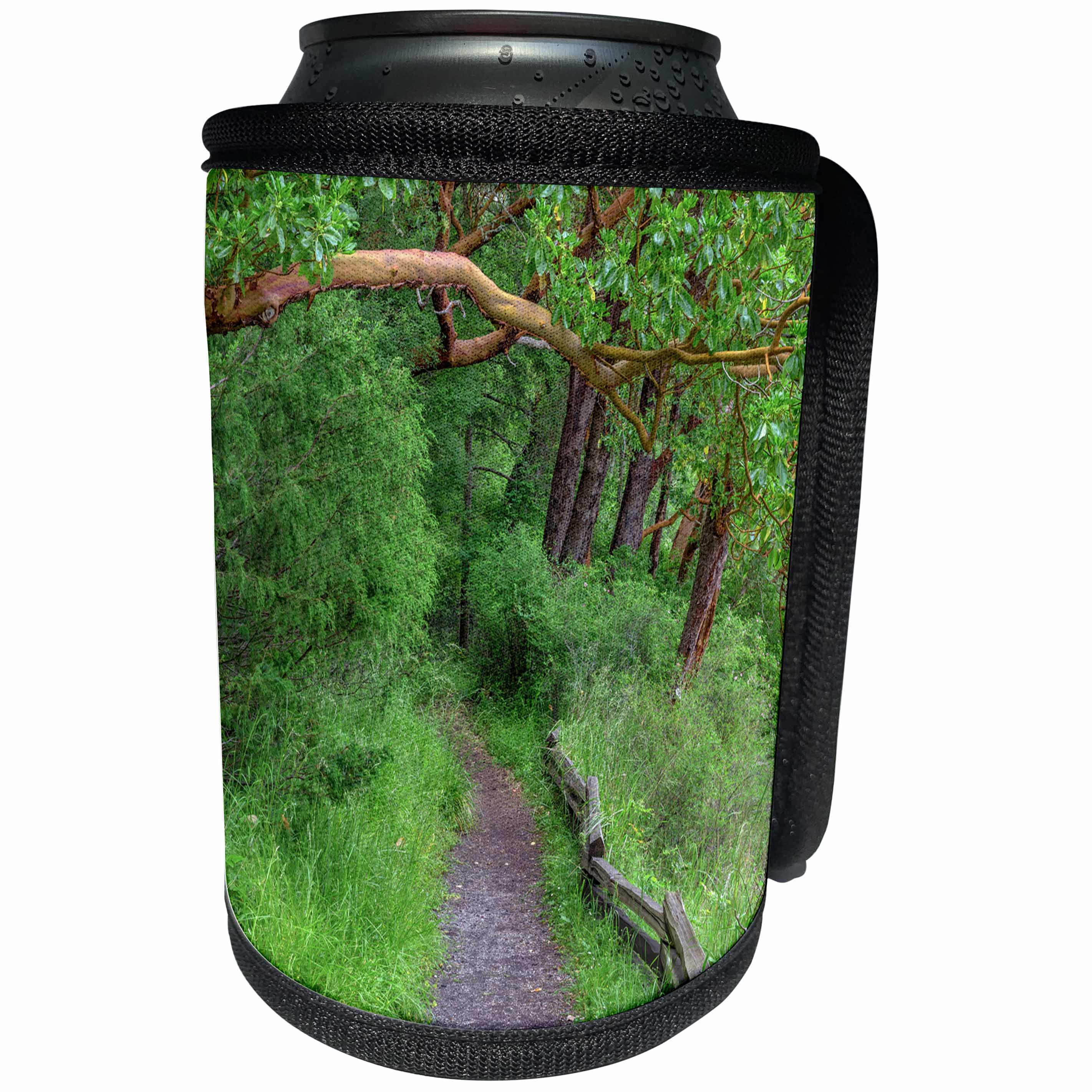 3dRose Danita Delimont - Roads - Washington, San Juan Island, Bell Point Trail through madrone trees. - Can Cooler Bottle Wrap (cc_279714)
