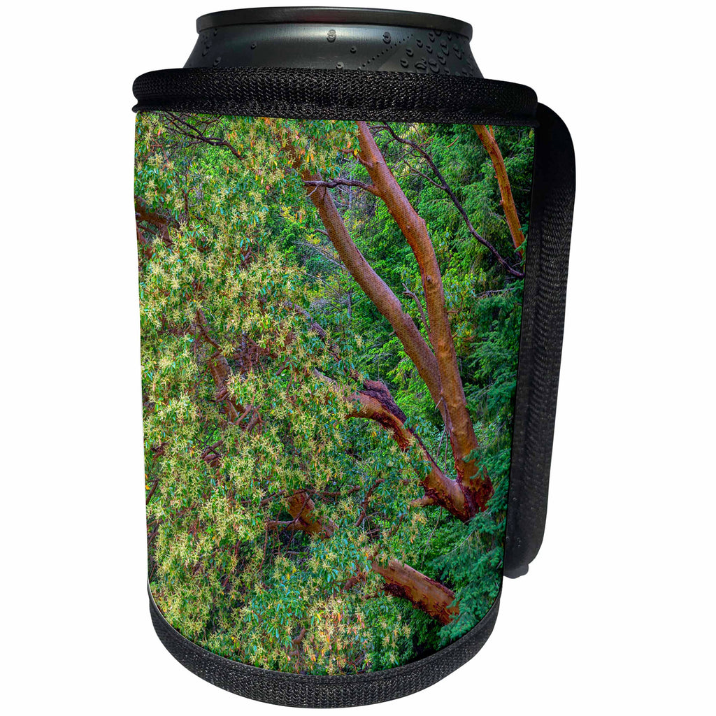 3dRose Danita Delimont - Forests - Washington, San Juan Island, English Camp, Pacific madrone trees. - Can Cooler Bottle Wrap (cc_279716)