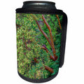 3dRose Danita Delimont - Forests - Washington, San Juan Island, English Camp, Pacific madrone trees. - Can Cooler Bottle Wrap (cc_279716)