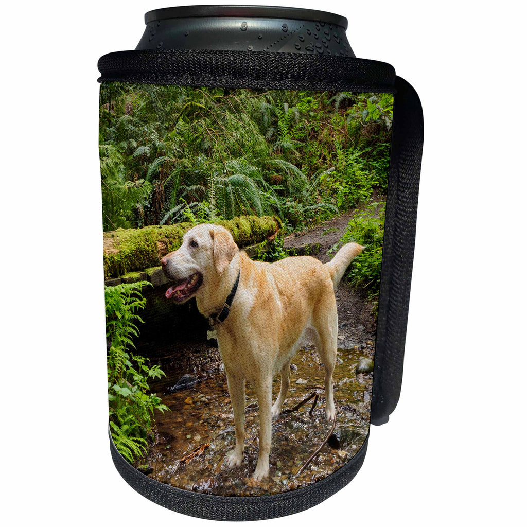 3dRose Danita Delimont - Dogs - Washington, Issaquah. Yellow Labrador in the woods at Tiger Mountain. - Can Cooler Bottle Wrap (cc_279723)