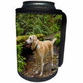 3dRose Danita Delimont - Dogs - Washington, Issaquah. Yellow Labrador in the woods at Tiger Mountain. - Can Cooler Bottle Wrap (cc_279723)