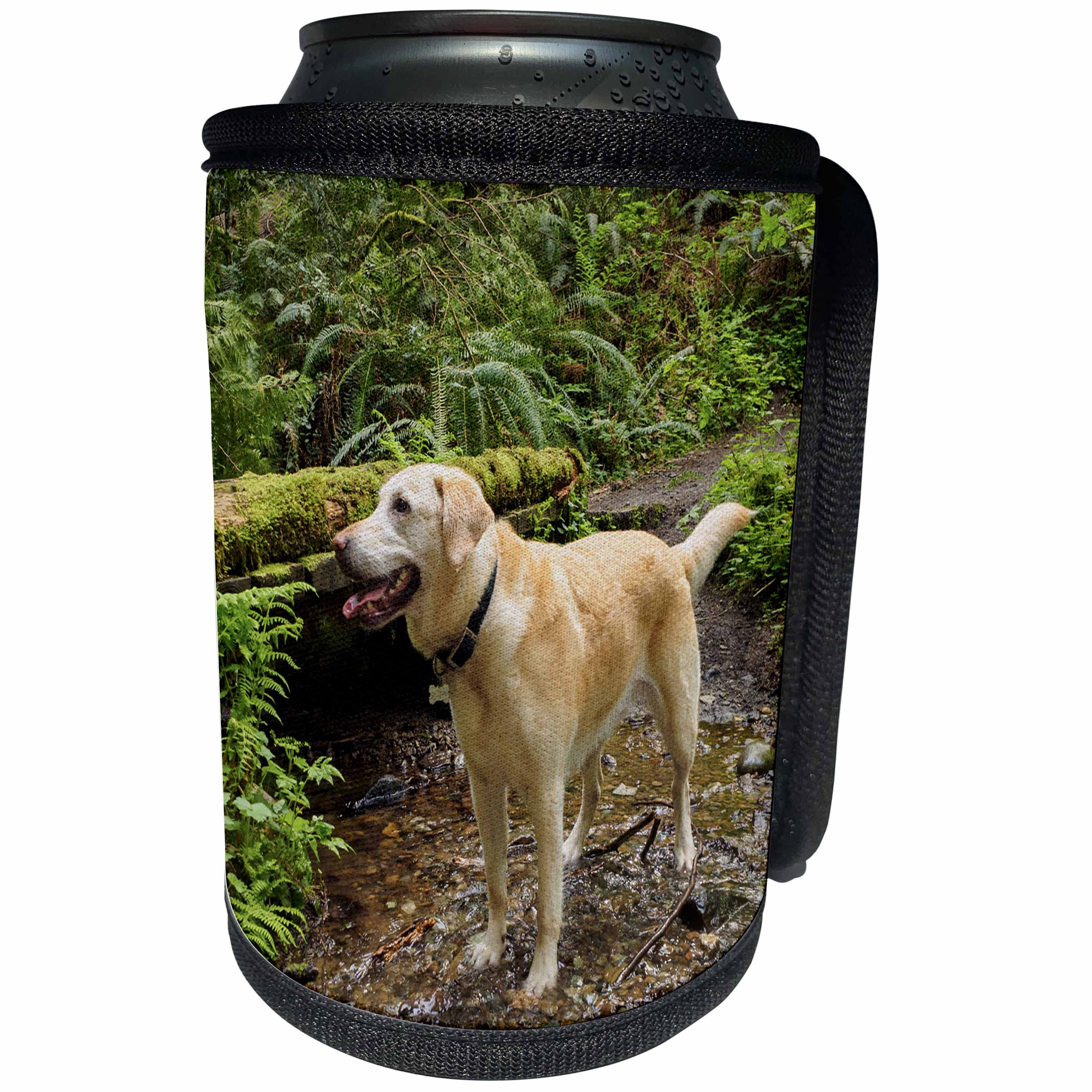 3dRose Danita Delimont - Dogs - Washington, Issaquah. Yellow Labrador in the woods at Tiger Mountain. - Can Cooler Bottle Wrap (cc_279723)