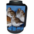 3dRose Danita Delimont - Birds - Western Sandpipers and Dunlin resting - Can Cooler Bottle Wrap (cc_279739)