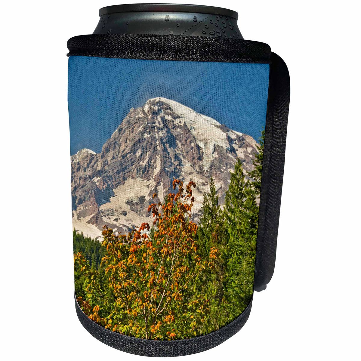 3dRose Danita Delimont - Mountains - Mount Rainier from Longmire, Mount Rainier NP, Washington State, USA - Can Cooler Bottle Wrap (cc_279743)