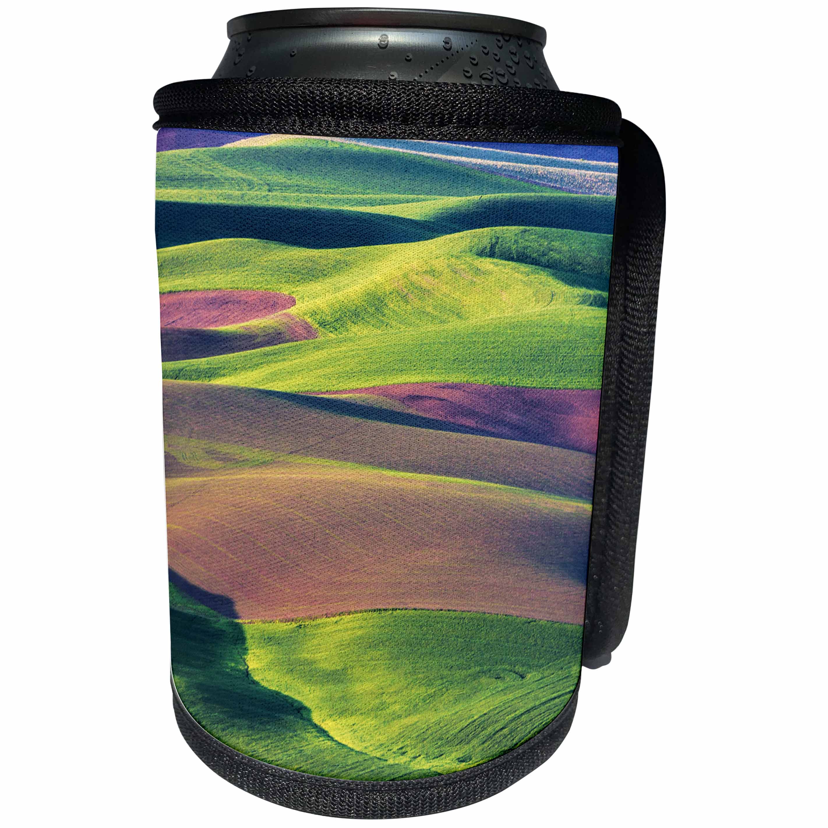 3dRose Danita Delimont - Agriculture - Washington, Palouse, Sunlight upon hills of purple and green fields. - Can Cooler Bottle Wrap (cc_279755)