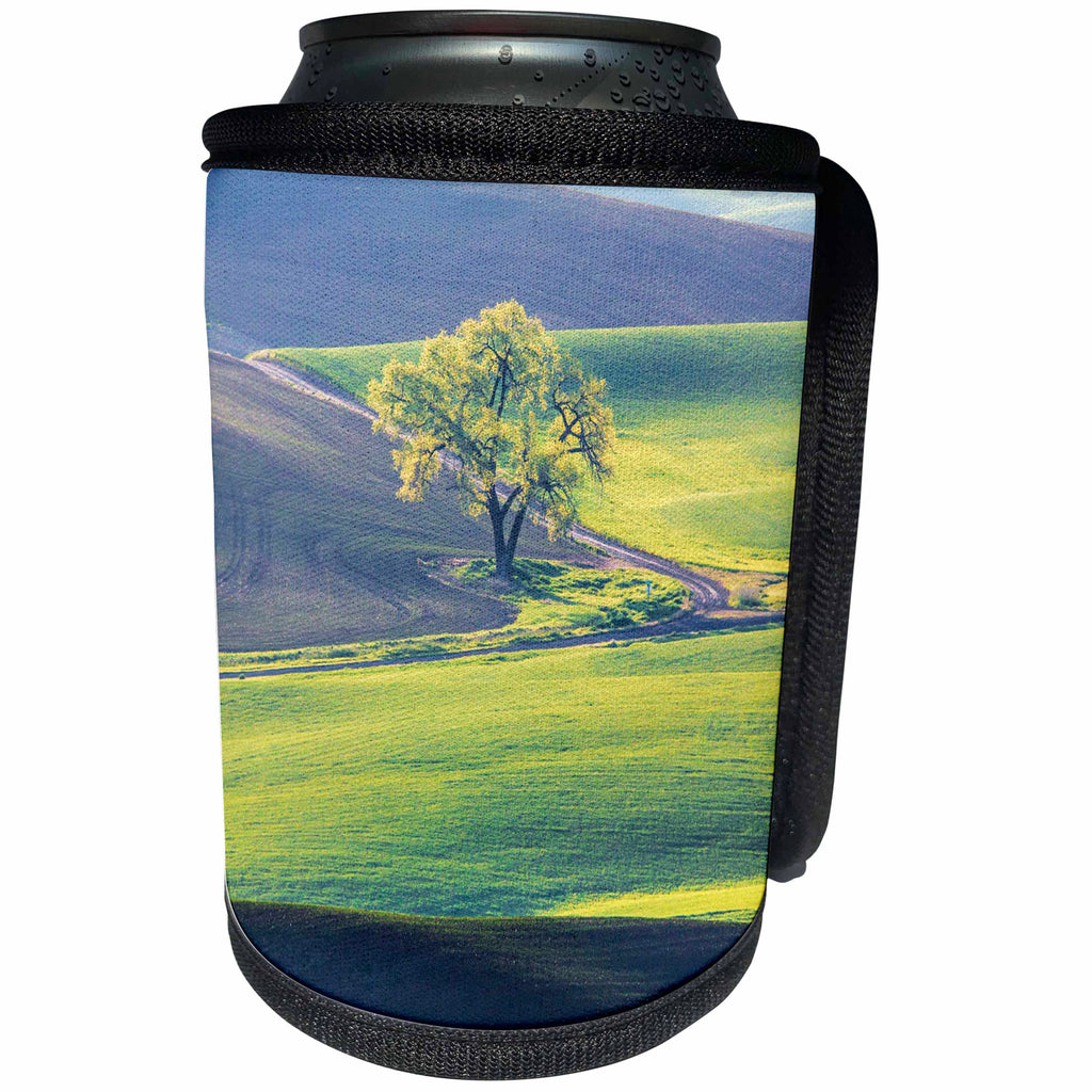 3dRose Danita Delimont - Agriculture - USA, Washington State, Palouse, Lone Tree in Wheat Field - Can Cooler Bottle Wrap (cc_279756)