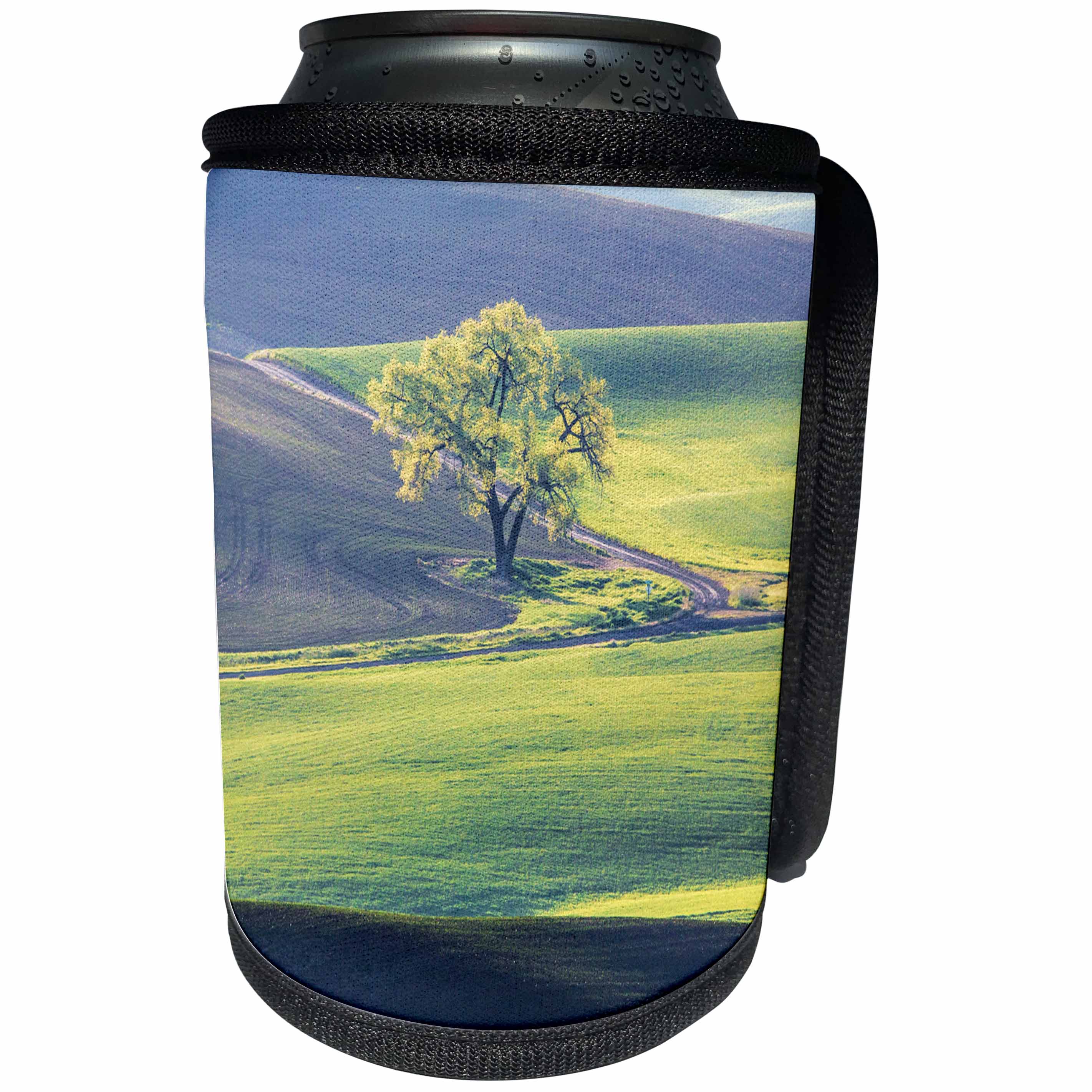 3dRose Danita Delimont - Agriculture - USA, Washington State, Palouse, Lone Tree in Wheat Field - Can Cooler Bottle Wrap (cc_279756)