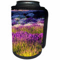 3dRose Danita Delimont - Flowers - USA, Washington, Sequim, Lavender Field, Lavender Field in full boom - Can Cooler Bottle Wrap (cc_279765)