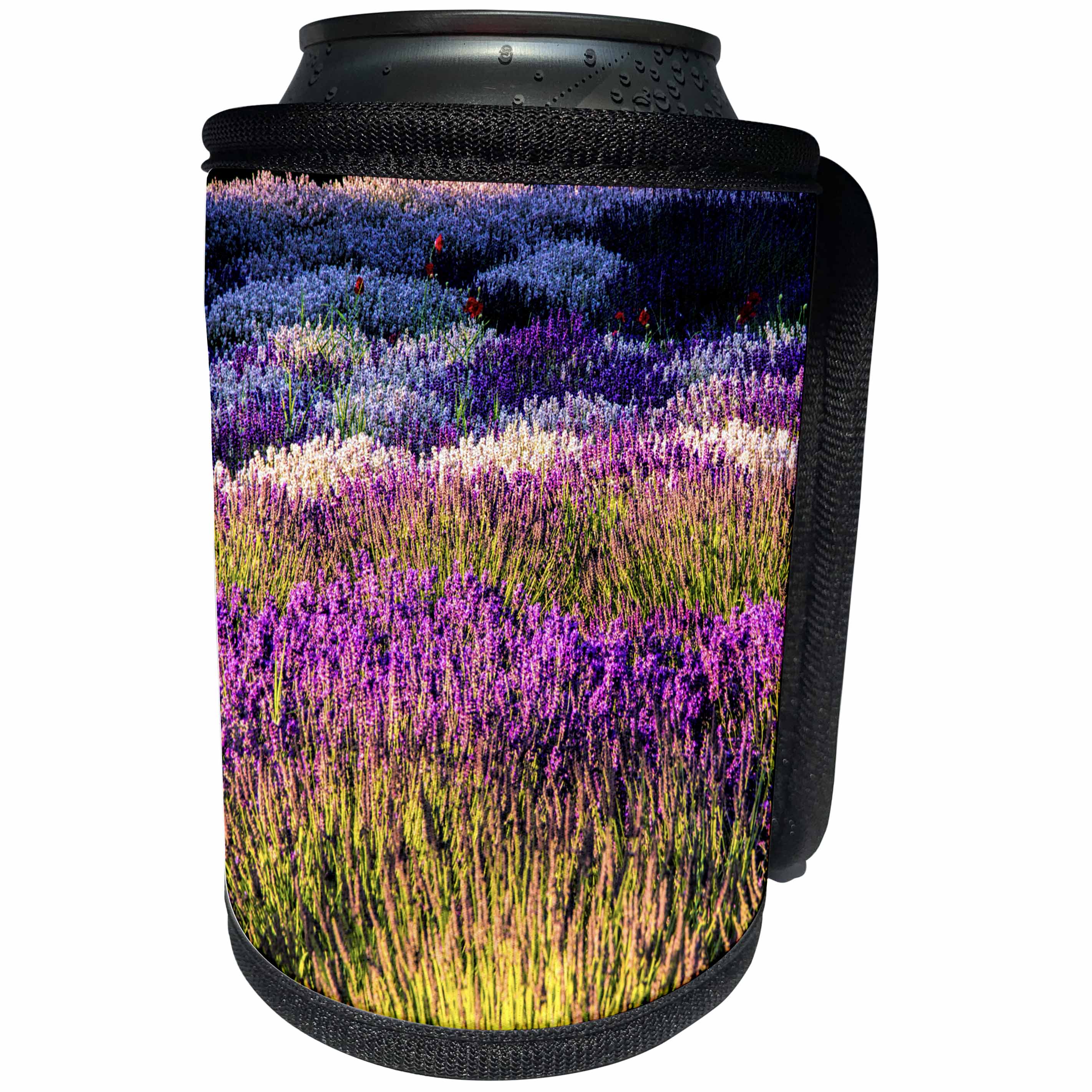 3dRose Danita Delimont - Flowers - USA, Washington, Sequim, Lavender Field, Lavender Field in full boom - Can Cooler Bottle Wrap (cc_279765)