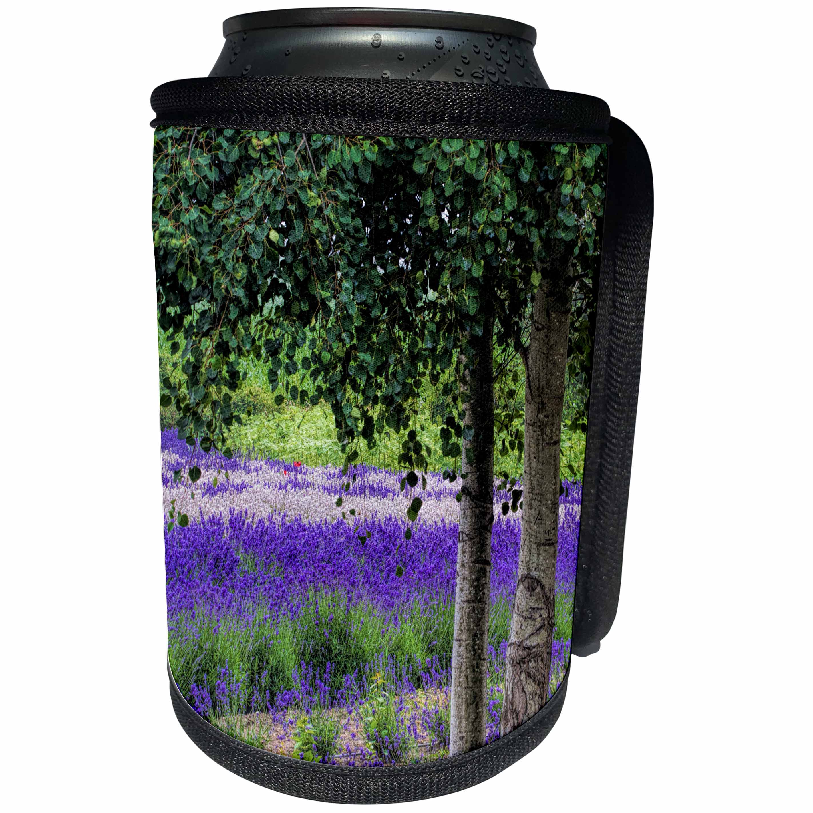 3dRose Danita Delimont - Agriculture - Washington, Sequim, Lavender Field in full boom with Trees - Can Cooler Bottle Wrap (cc_279766)