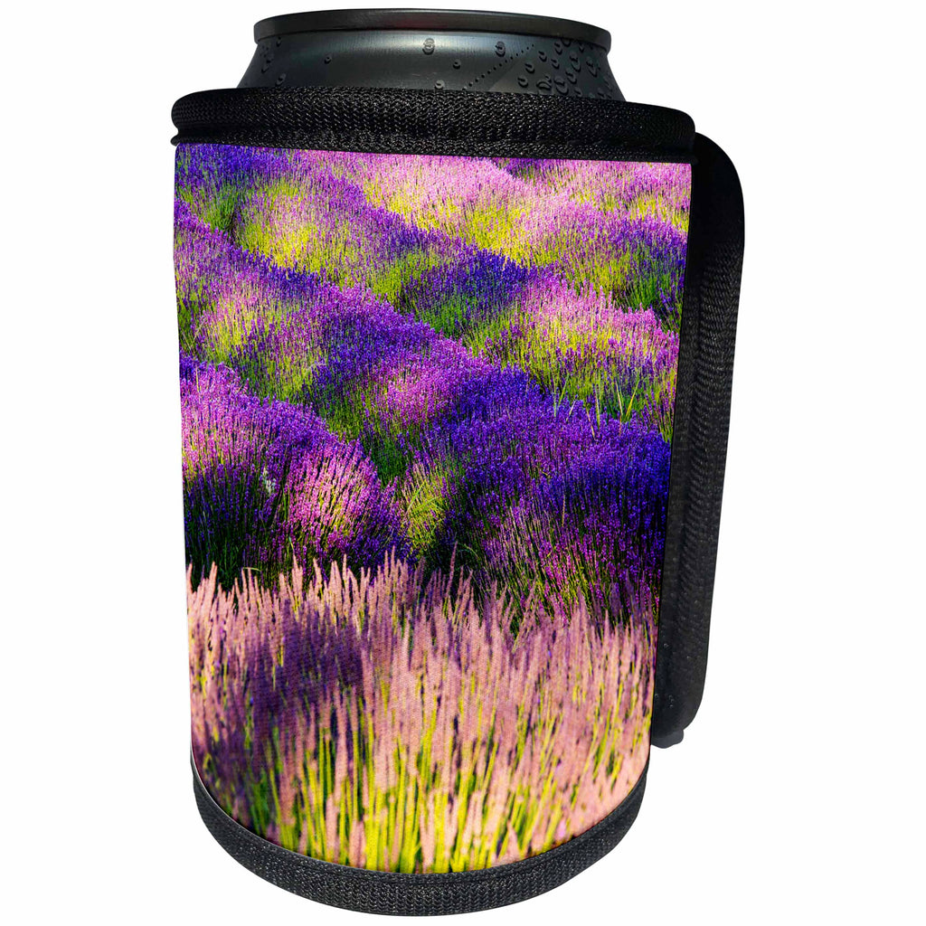 3dRose Danita Delimont - Flowers - USA, Washington State, Sequim, Lavender Field in full boom - Can Cooler Bottle Wrap (cc_279781)