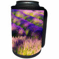 3dRose Danita Delimont - Flowers - USA, Washington State, Sequim, Lavender Field in full boom - Can Cooler Bottle Wrap (cc_279781)