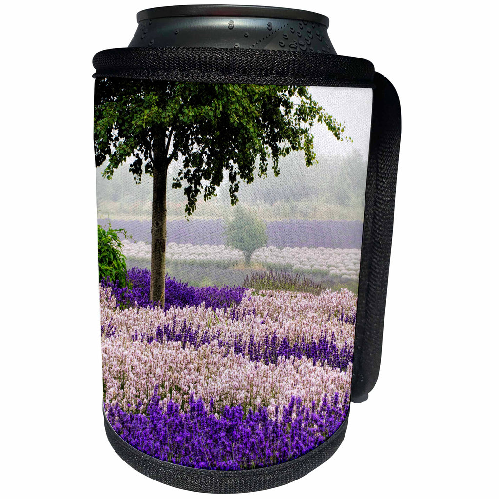 3dRose Danita Delimont - Flowers - USA, Washington, Sequim, Lavender Field blooming with Lone Tree - Can Cooler Bottle Wrap (cc_279782)