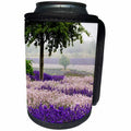 3dRose Danita Delimont - Flowers - USA, Washington, Sequim, Lavender Field blooming with Lone Tree - Can Cooler Bottle Wrap (cc_279782)
