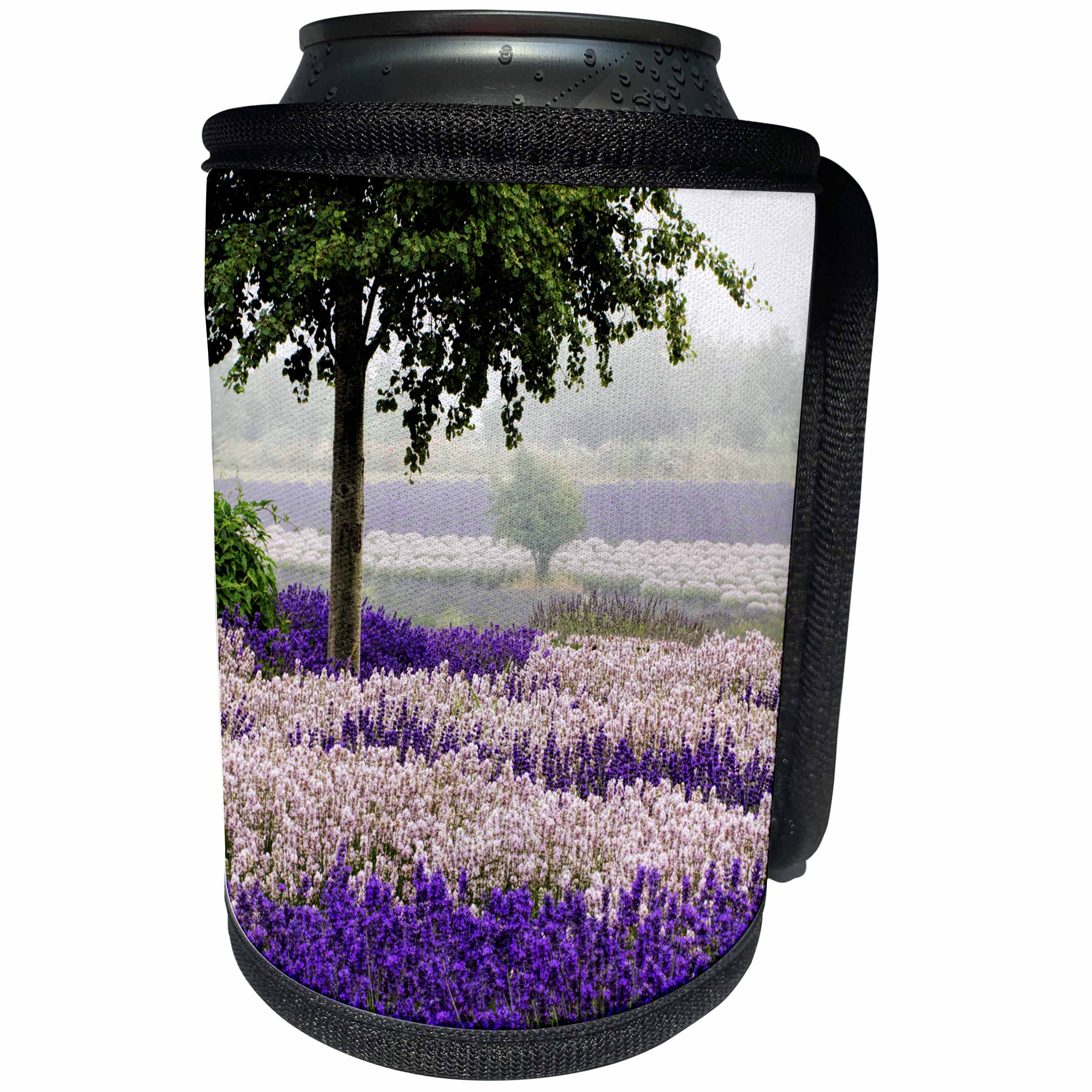 3dRose Danita Delimont - Flowers - USA, Washington, Sequim, Lavender Field blooming with Lone Tree - Can Cooler Bottle Wrap (cc_279782)