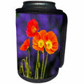 3dRose Danita Delimont - Flowers - USA, Washington State, Poppies on Display - Can Cooler Bottle Wrap (cc_279784)