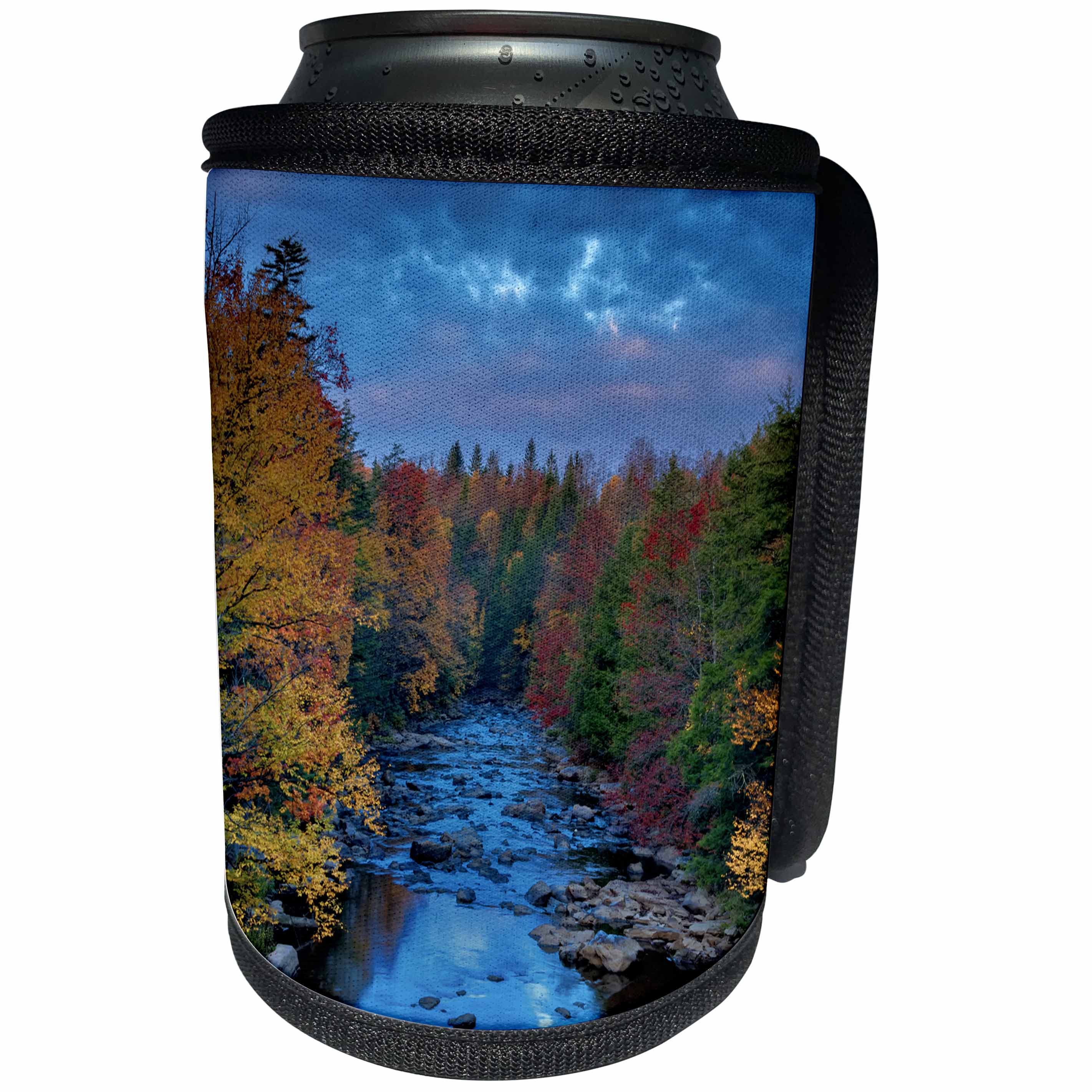 3dRose Danita Delimont - Rivers - West Virginia, Blackwater Falls State Park. Forest and stream. - Can Cooler Bottle Wrap (cc_279790)