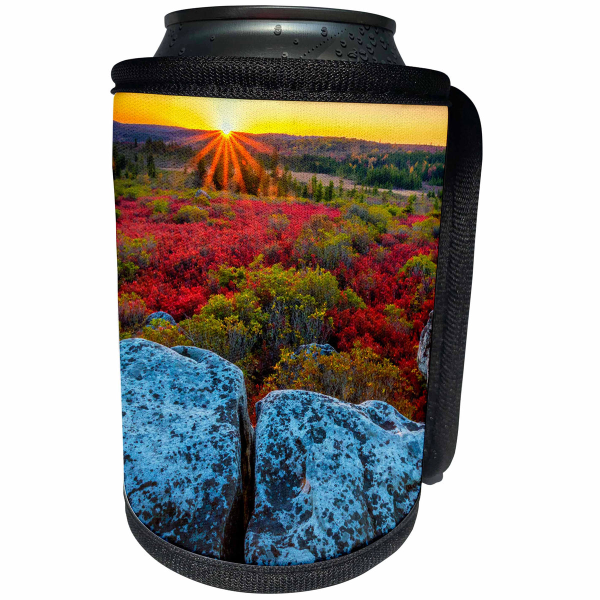 3dRose Danita Delimont - Sunsets - West Virginia, Dolly Sods Wilderness Area. Sunset on tundra and rocks. - Can Cooler Bottle Wrap (cc_279796)