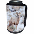 3dRose Danita Delimont - Sheep - USA, Wyoming, bighorn sheep, winter - Can Cooler Bottle Wrap (cc_279806)