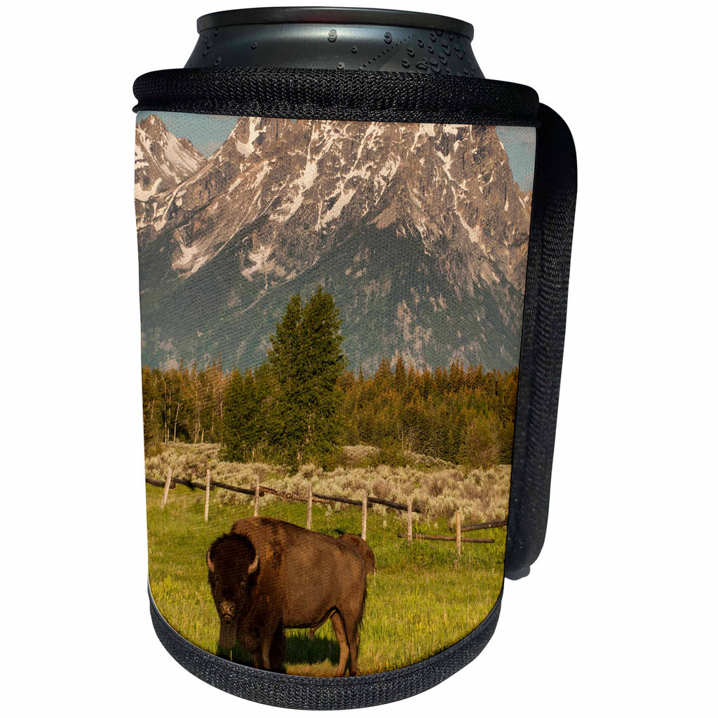 3dRose Danita Delimont - Bison - American Bison, Grand Teton National Park, Wyoming. - Can Cooler Bottle Wrap (cc_279807)