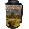 3dRose Danita Delimont - Bison - American Bison, Grand Teton National Park, Wyoming. - Can Cooler Bottle Wrap (cc_279807)