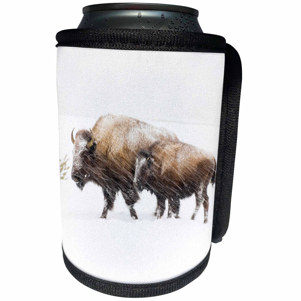3dRose Danita Delimont - Bison - USA, Wyoming, Yellowstone National Park. Bison in winter. - Can Cooler Bottle Wrap (cc_279809)