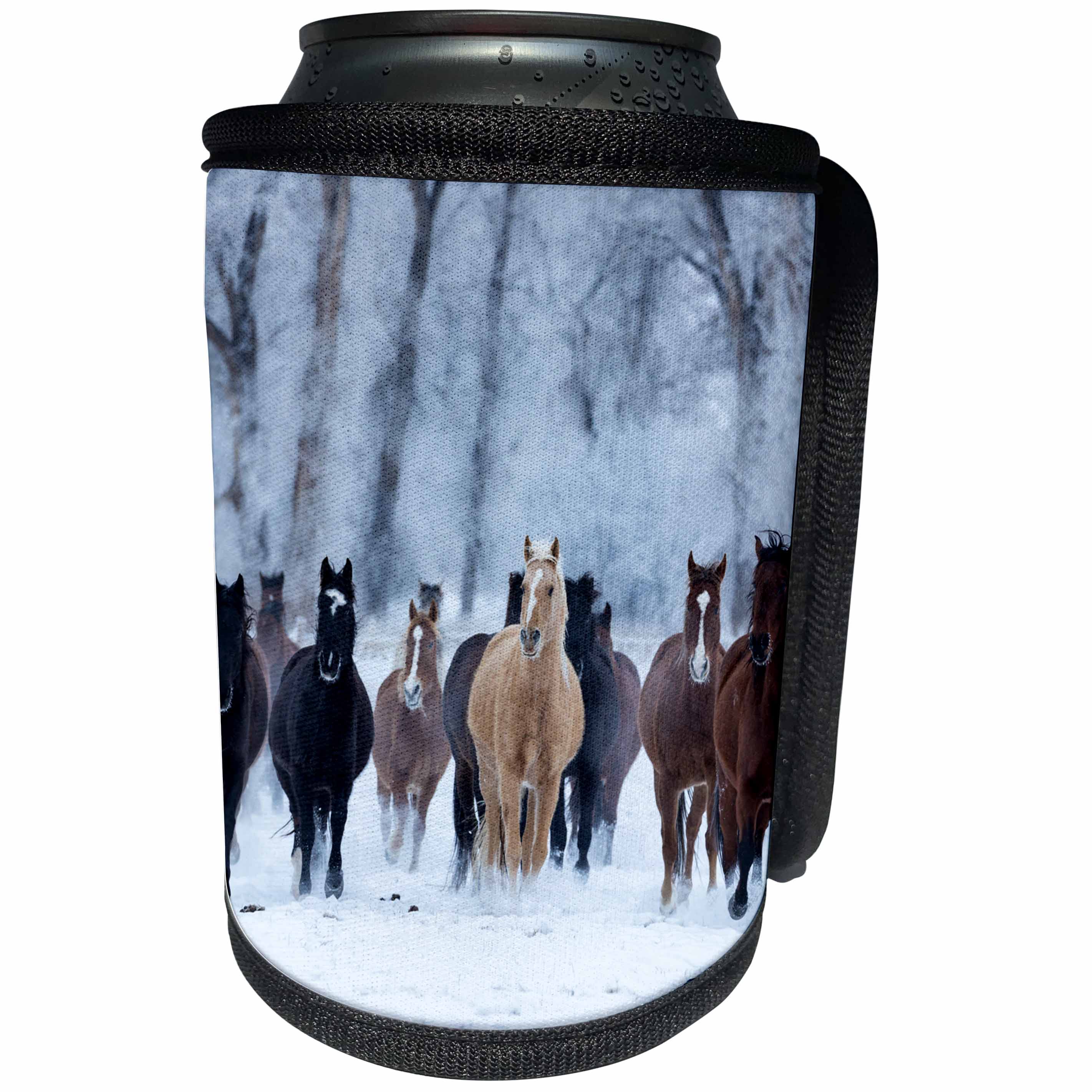 3dRose Danita Delimont - Horses - USA, Wyoming, Shell, Horses in the Cold, PR - Can Cooler Bottle Wrap (cc_279820)