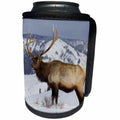 3dRose Danita Delimont - Elk - Rocky Mountain Bull Elk in winter. - Can Cooler Bottle Wrap (cc_279824)