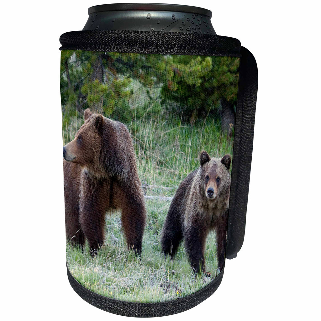 3dRose Danita Delimont - Bears - Grizzly Bear Sow with Cub - Can Cooler Bottle Wrap (cc_279825)