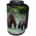3dRose Danita Delimont - Bears - Grizzly Bear Sow with Cub - Can Cooler Bottle Wrap (cc_279825)