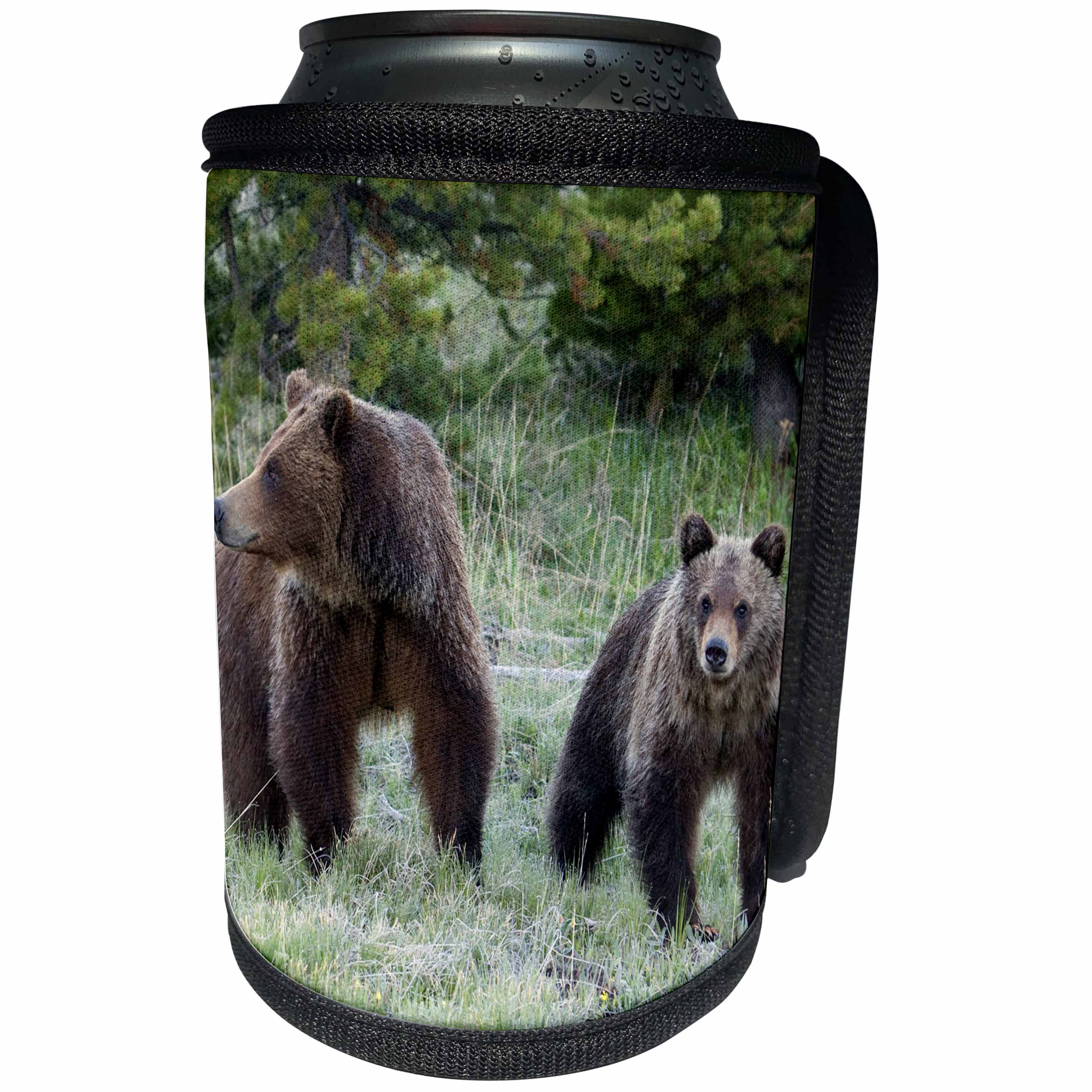 3dRose Danita Delimont - Bears - Grizzly Bear Sow with Cub - Can Cooler Bottle Wrap (cc_279825)