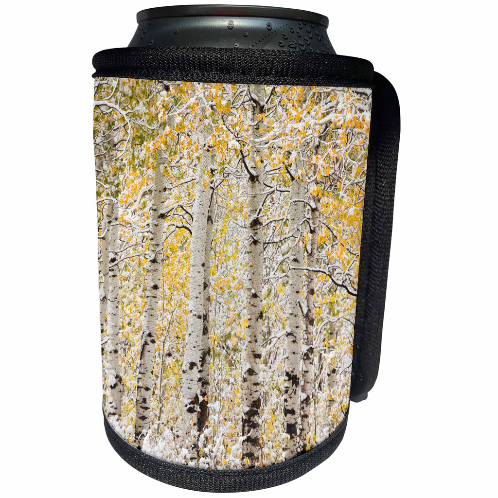 3dRose Danita Delimont - Forests - Wyoming. Yellow aspens covered in snow. - Can Cooler Bottle Wrap (cc_279826)