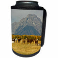 3dRose Danita Delimont - Horses - Horses, Elk Ranch Flats, Grand Tetons, Grand Teton NP, Wyoming, USA - Can Cooler Bottle Wrap (cc_279827)