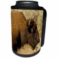 3dRose Danita Delimont - Bison - Bison profile, Lamar Valley, Yellowstone National Park, Wyoming, USA - Can Cooler Bottle Wrap (cc_279829)