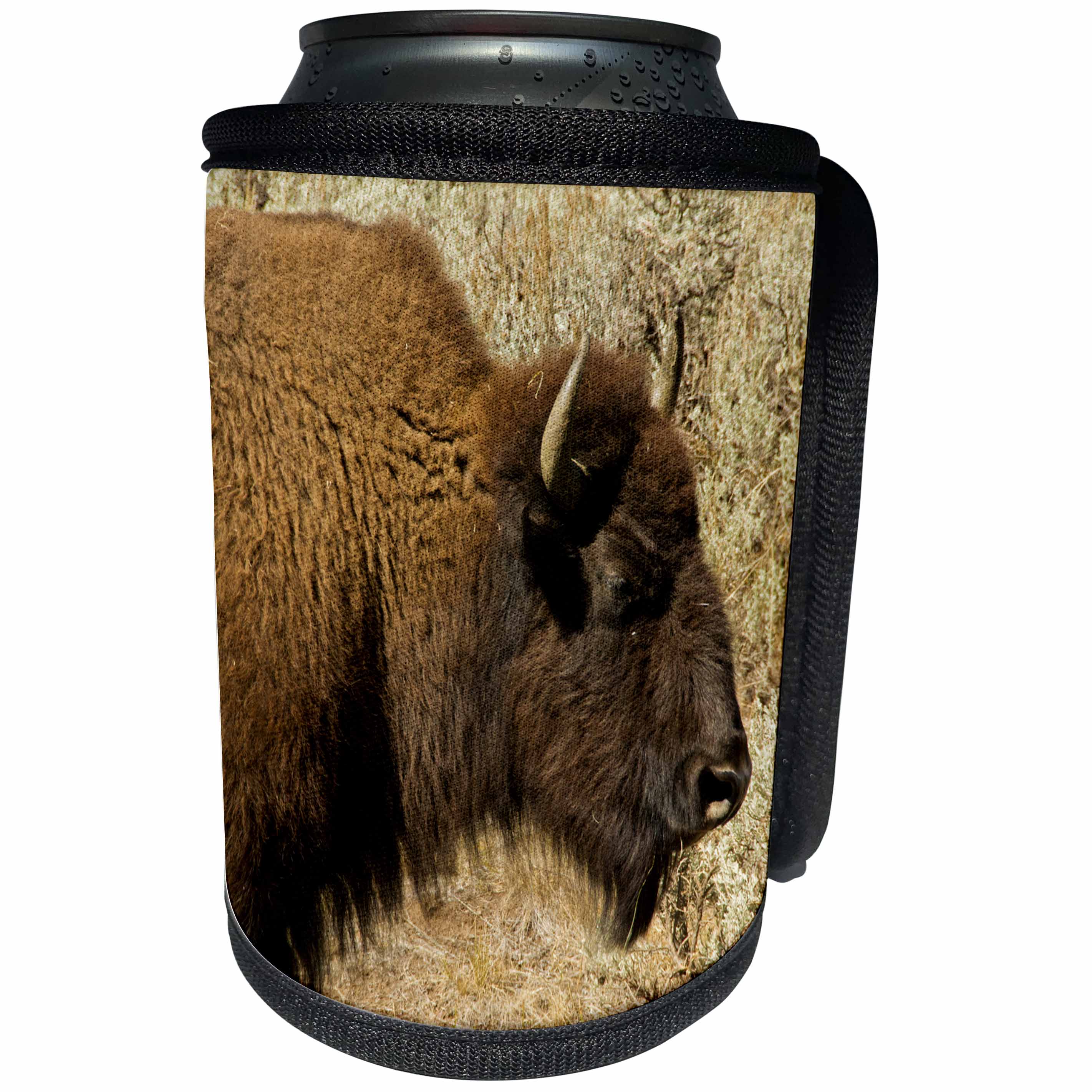 3dRose Danita Delimont - Bison - Bison profile, Lamar Valley, Yellowstone National Park, Wyoming, USA - Can Cooler Bottle Wrap (cc_279829)