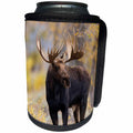 3dRose Danita Delimont - Moose - Bull Moose looks around, Grand Teton National Park, Wyoming - Can Cooler Bottle Wrap (cc_279836)