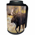 3dRose Danita Delimont - Moose - Moose walking trough autumn grassland, Grand Teton NP, Wyoming - Can Cooler Bottle Wrap (cc_279837)