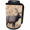 3dRose Danita Delimont - Elk - Bull elk, Yellowstone National Park, Wyoming - Can Cooler Bottle Wrap (cc_279839)