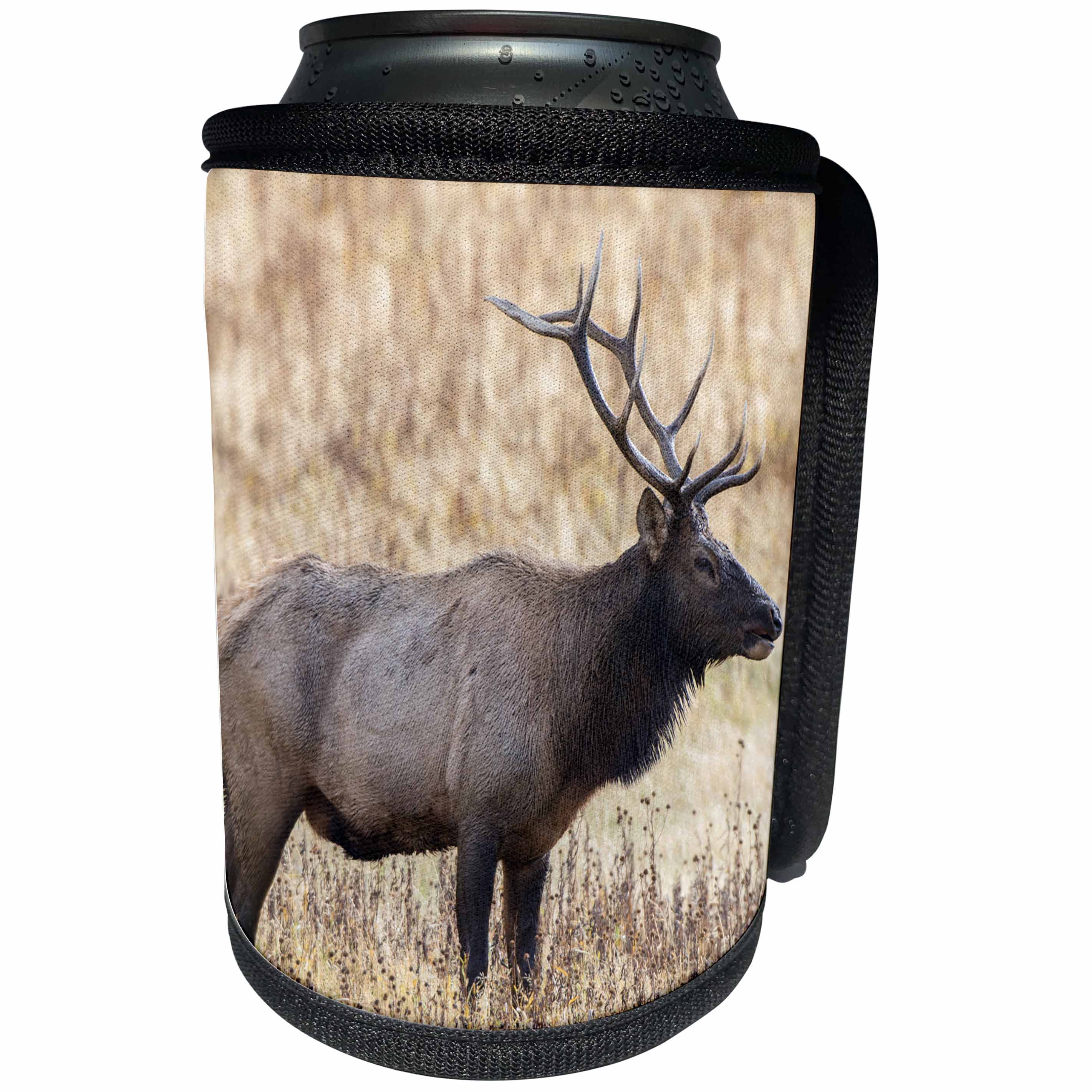 3dRose Danita Delimont - Elk - Bull elk, Yellowstone National Park, Wyoming - Can Cooler Bottle Wrap (cc_279839)