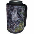 3dRose Danita Delimont - Owls - Great Gray Owl in snowstorm, Yellowstone NP, Wyoming - Can Cooler Bottle Wrap (cc_279842)